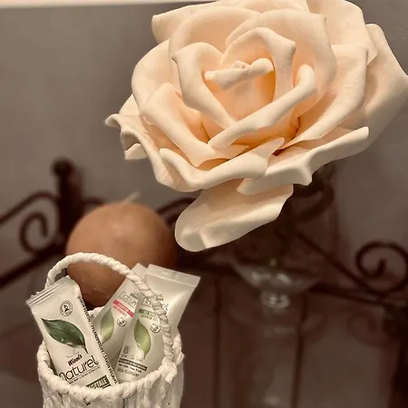 فندق مبيت وإفطار Clara *